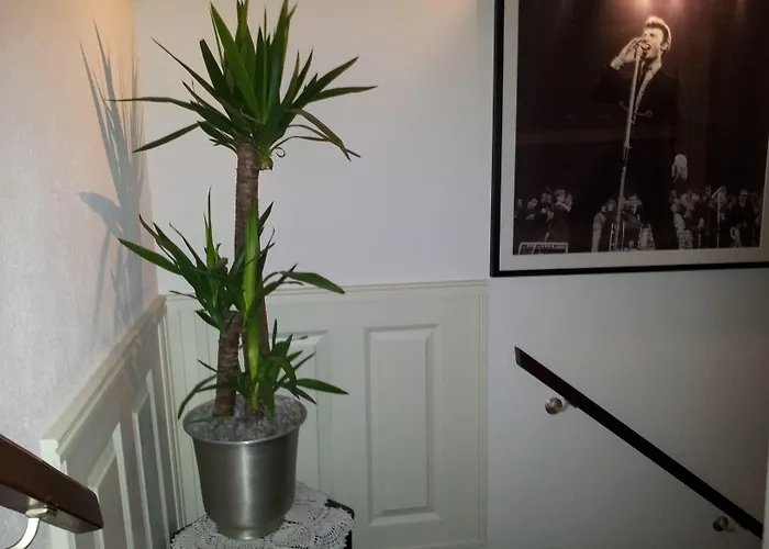 ザ コンサート ホテル 3*