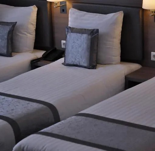 ホテル ザ コンサート