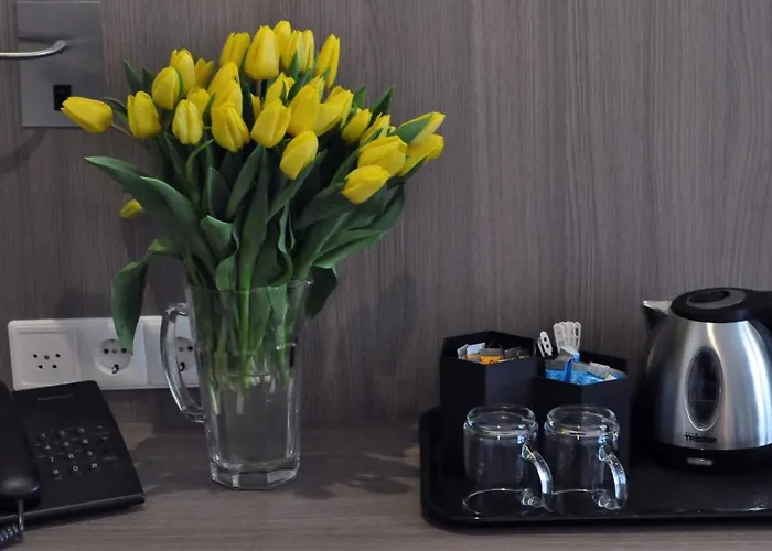 ザ コンサート 3* アムステルダム