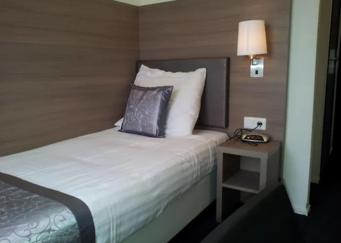 ホテル ザ コンサート 3*